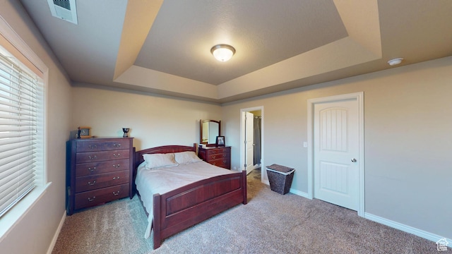 90 W Cedar Ln, Franklin, ID 83237 - carpeted bedroom with a raised ceiling and baseboards