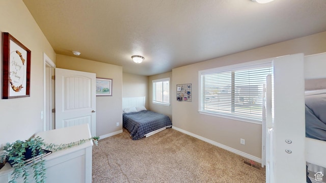 90 W Cedar Ln, Franklin, ID 83237 - bedroom with light colored carpet and baseboards