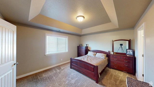 90 W Cedar Ln, Franklin, ID 83237 - bedroom with a raised ceiling, carpet floors, baseboards, and a textured ceiling