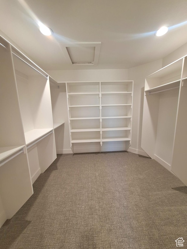 1734 N 4100 W, Plain City, UT 84404 - spacious closet featuring carpet floors