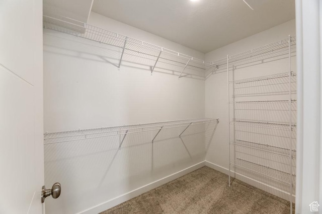 6041 W Lower Ln # 6-234, West Jordan, UT 84081 - spacious closet with carpet