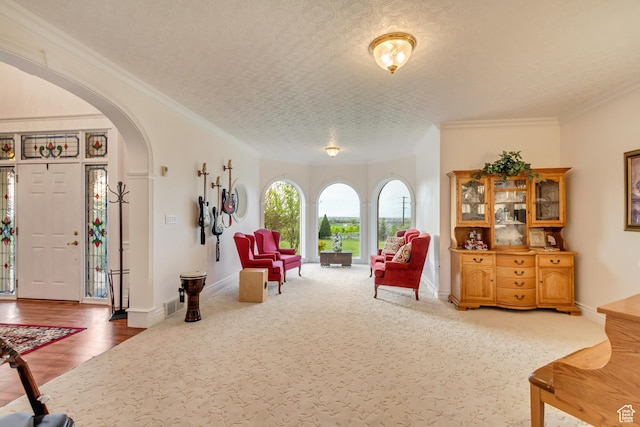 542 E 10000 S, Salem, UT 84653 - sitting room featuring arched walkways, carpet, baseboards, ornamental molding, and a textured ceiling