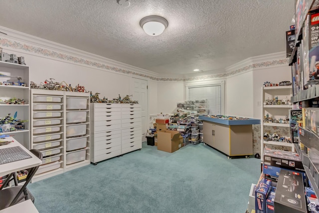 542 E 10000 S, Salem, UT 84653 - view of storage room