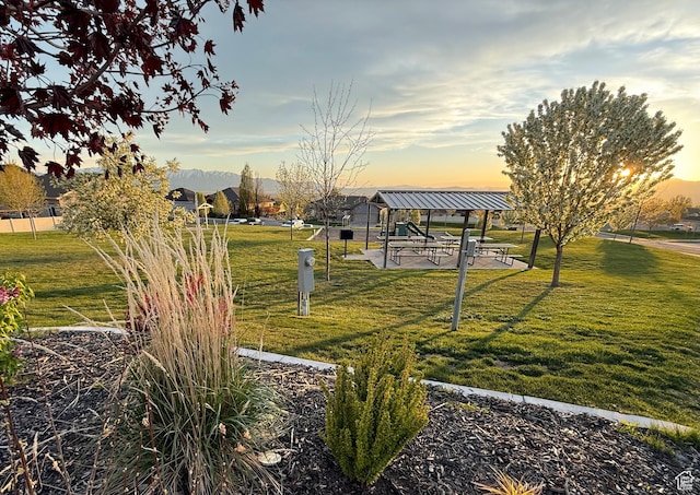view of home's community featuring a yard