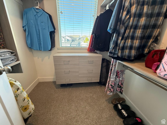 walk in closet featuring dark colored carpet