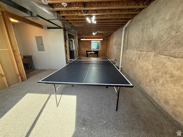 playroom with electric panel and carpet flooring