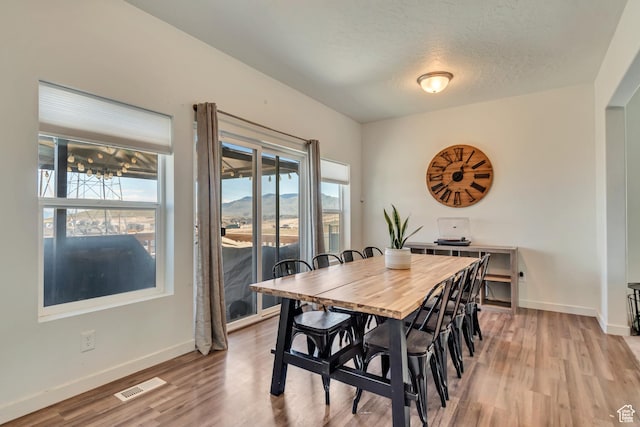 dining space with light wood-type flooring, plenty of natural light, baseboards, and a textured ceiling
