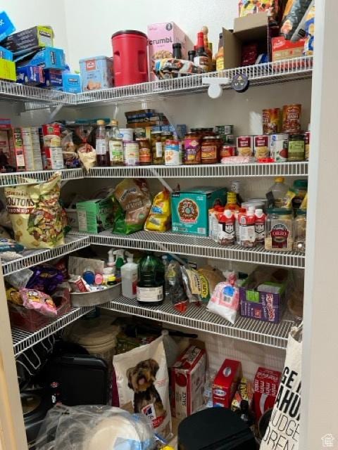 1195 W Dallin Dr N Unit R301, Pleasant Grove, UT 84062 - view of pantry