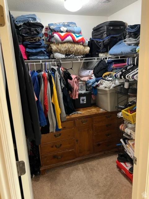1195 W Dallin Dr N Unit R301, Pleasant Grove, UT 84062 - spacious closet with light colored carpet