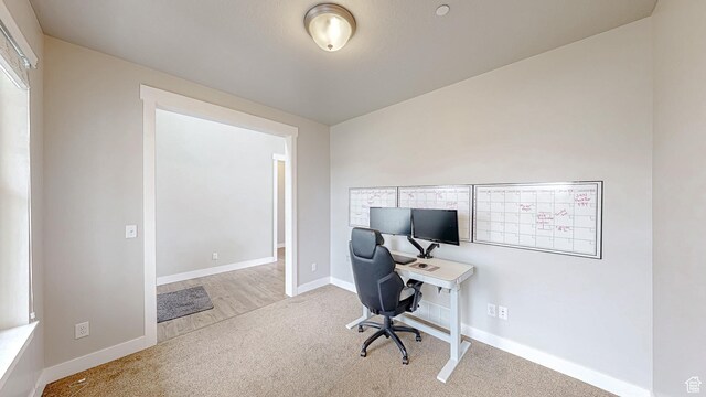 office space featuring carpet and baseboards