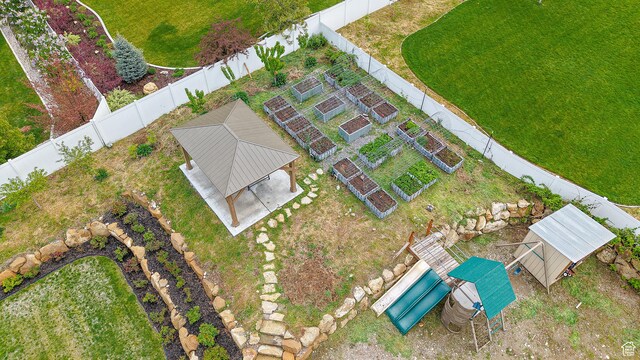 bird's eye view