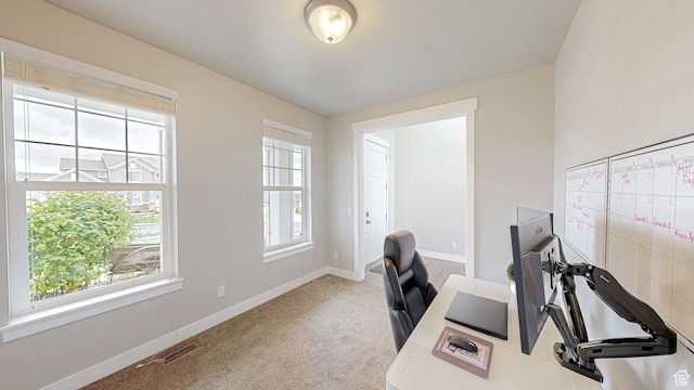 office space with healthy amount of natural light, carpet floors, and baseboards