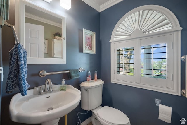half bath with a sink, toilet, and crown molding