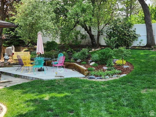 view of yard with a patio