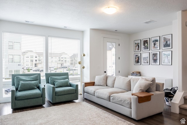 living room featuring wood finished floors and a textured ceiling