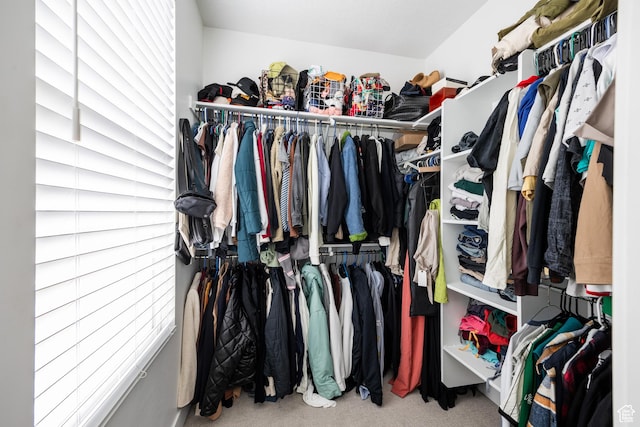 walk in closet with carpet