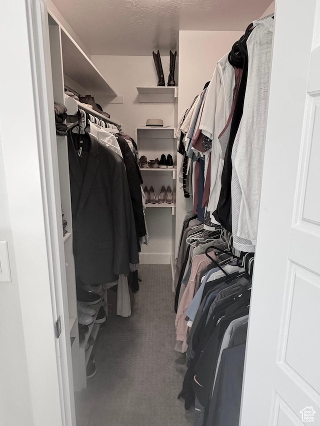 spacious closet with carpet floors