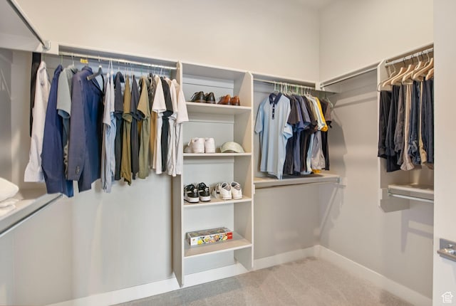 walk in closet with carpet