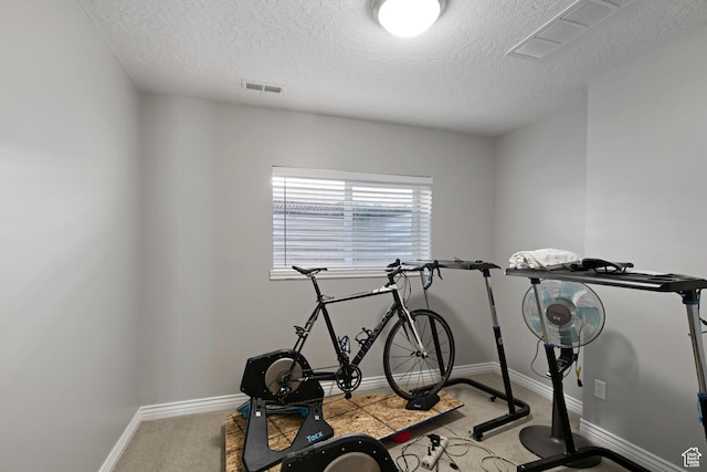 14038 S New Saddle Rd, Draper, UT 84020 - exercise room featuring a textured ceiling, carpet, and baseboards