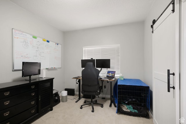 14038 S New Saddle Rd, Draper, UT 84020 - office with a barn door and carpet floors