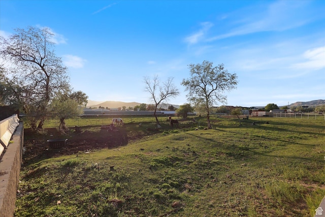 view of yard with fence, a view of rural / pastoral area, and a mountain view
