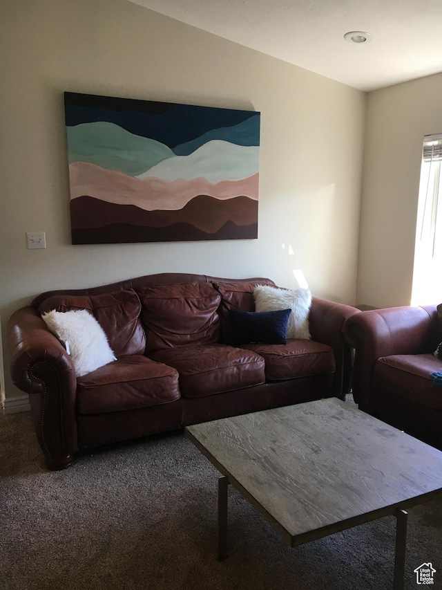 living area with carpet