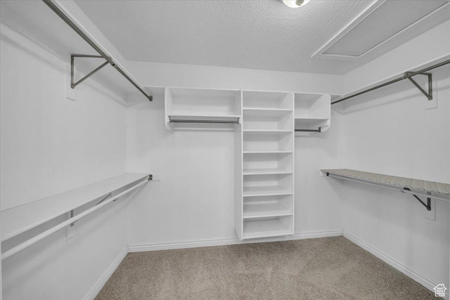 1659 S Cobblestone Ln, St George, UT 84790 - walk in closet with carpet floors