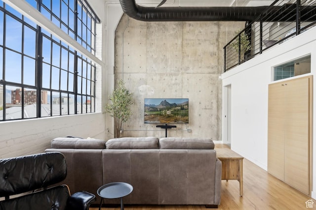 living room featuring a high ceiling and wood finished floors