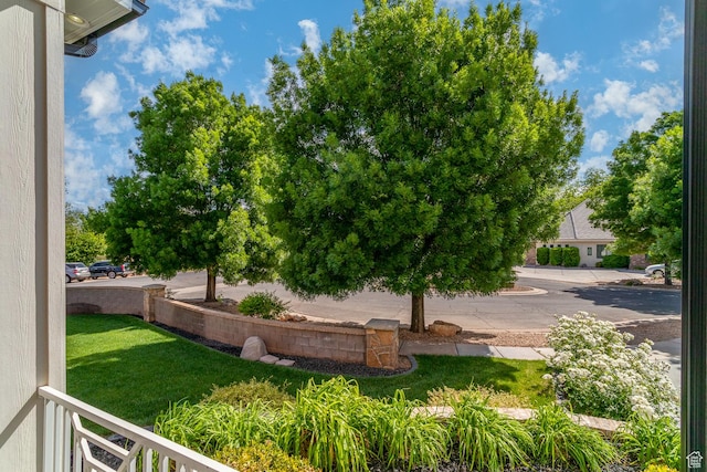 684 S 990 W, Hurricane, UT 84737 - view of green lawn
