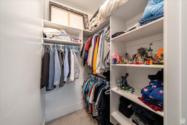684 S 990 W, Hurricane, UT 84737 - spacious closet with carpet floors
