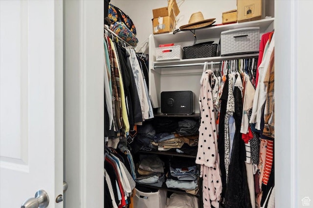 view of spacious closet