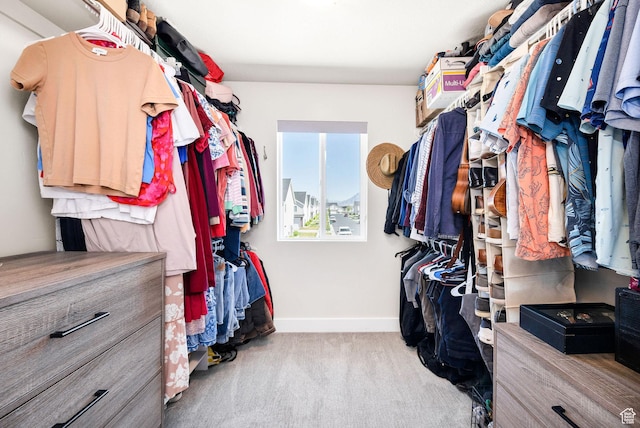 spacious closet featuring carpet floors