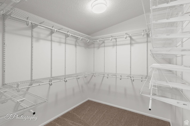 180 N 1100 E Unit 116, Washington, UT 84780 - spacious closet featuring carpet flooring and vaulted ceiling