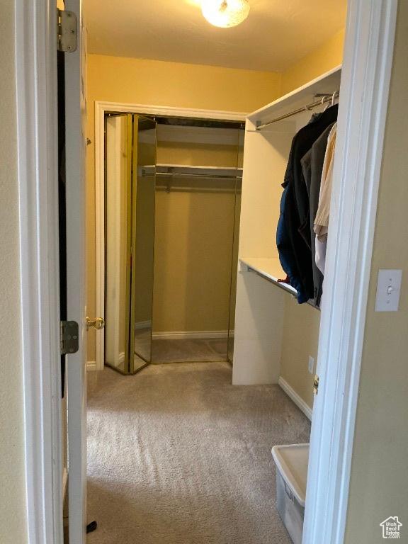 walk in closet with carpet