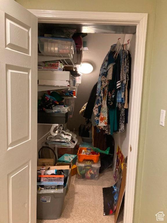 view of closet