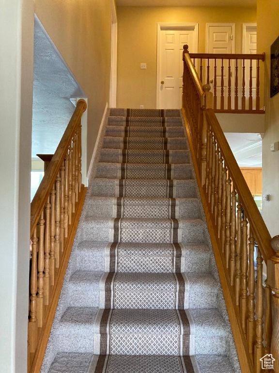 stairway with baseboards and carpet
