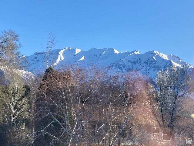 mountain view