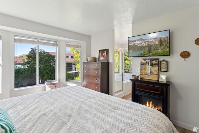 1298 E 5875 S, Ogden, UT 84405 - bedroom featuring wood finished floors, a glass covered fireplace, and baseboards