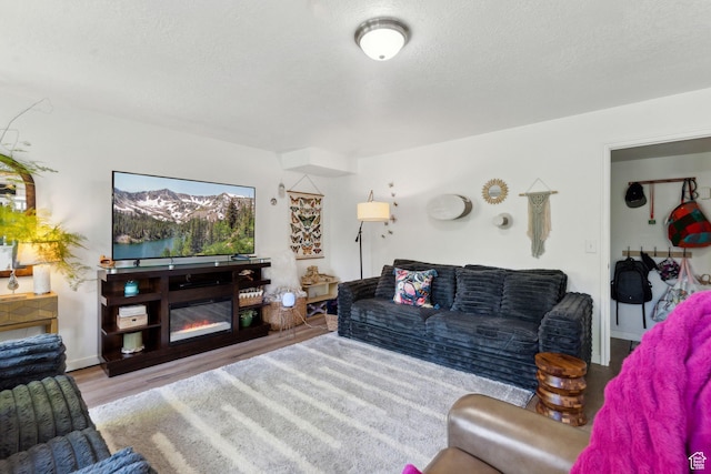 1298 E 5875 S, Ogden, UT 84405 - living room featuring wood finished floors and a textured ceiling
