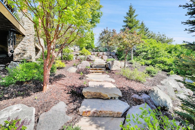 view of yard