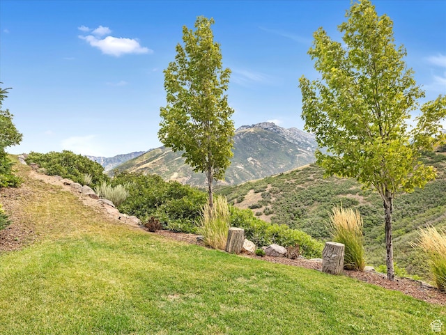 view of mountain backdrop
