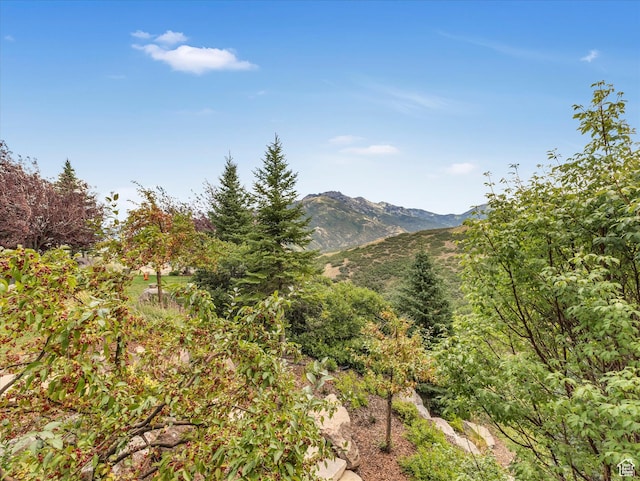 mountain view