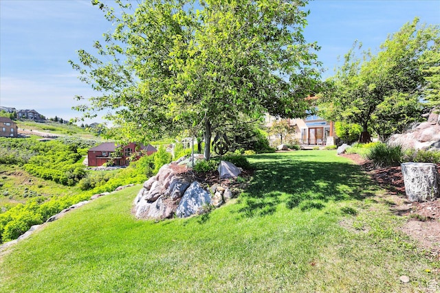 view of grassy yard