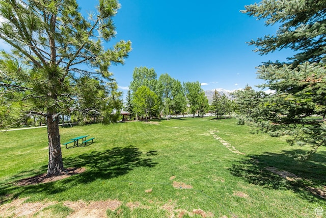 view of green lawn