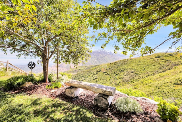 view of yard with a mountain view