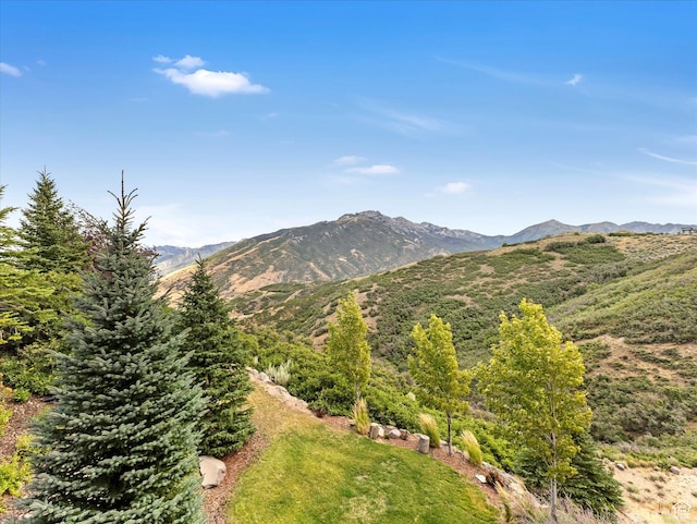 mountain view