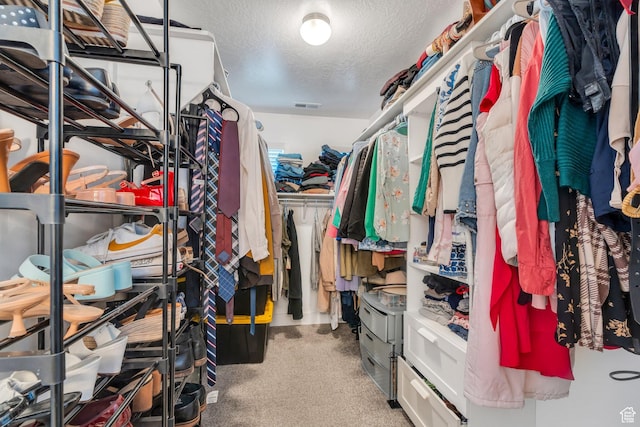 walk in closet featuring carpet floors