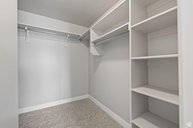 spacious closet with carpet