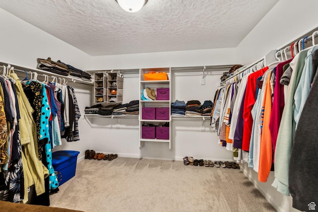 spacious closet featuring carpet
