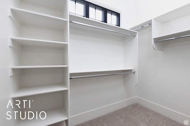 walk in closet featuring carpet floors